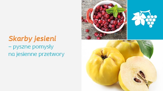 JESIENNE PRZETWORY